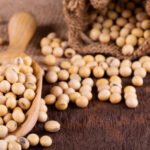 soya
